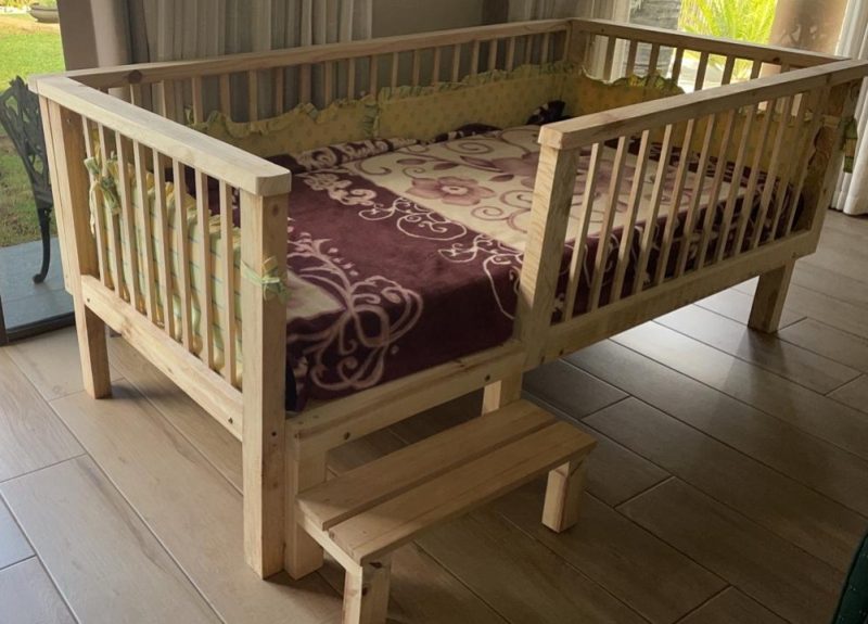 Elevated Floor bed with step