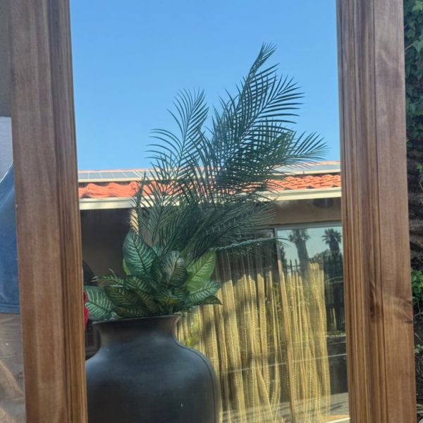 Elene Thick Frame Mirror